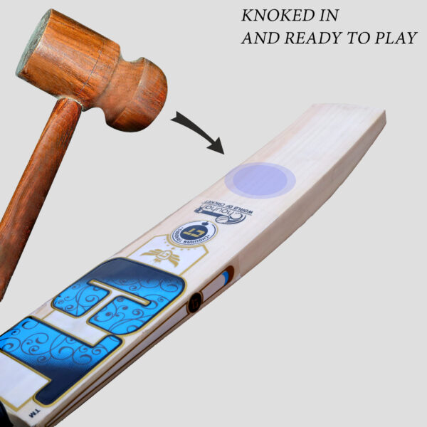 Kashmir Willow Cricket Bat