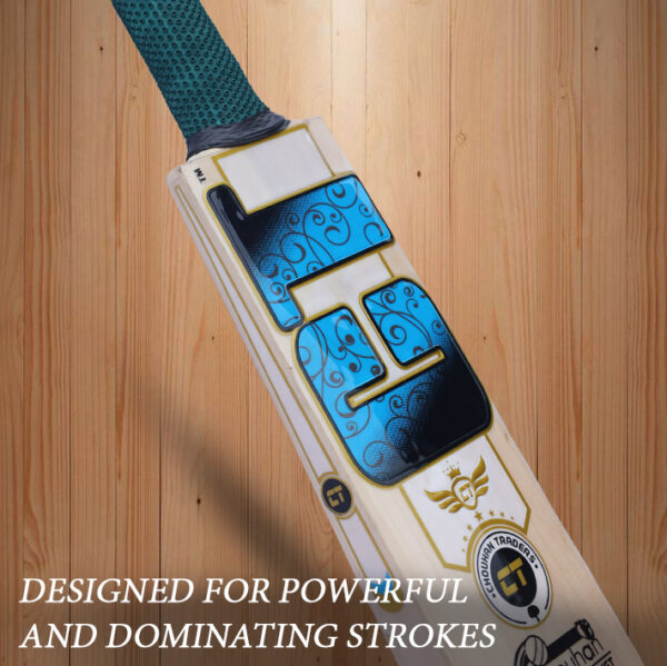 Kashmir Willow Cricket Bat