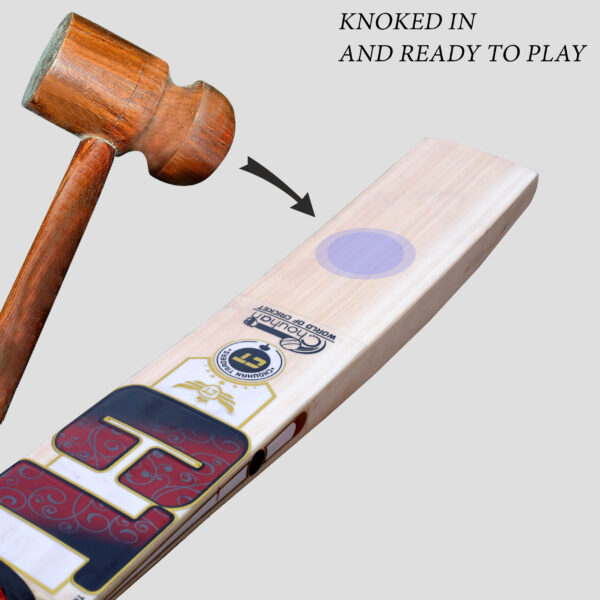 Cricket bat