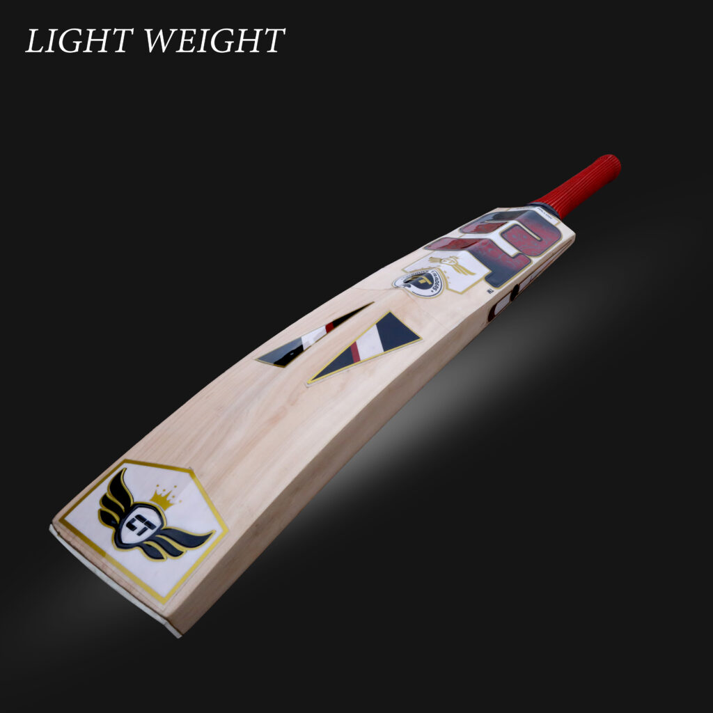 Cricket bat