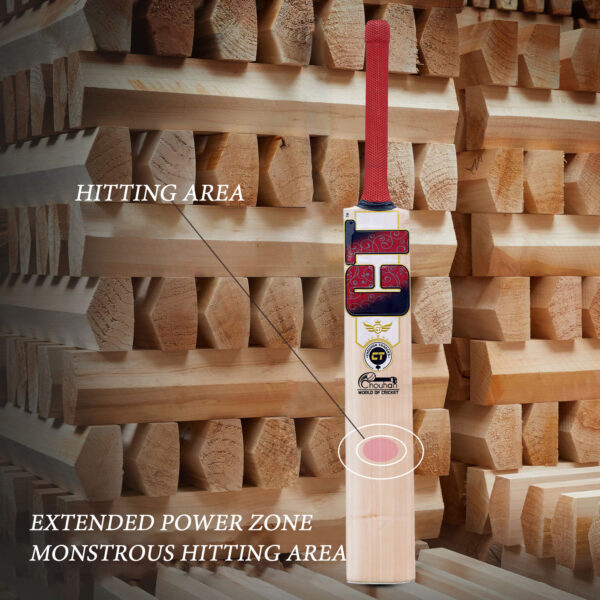 Cricket bat