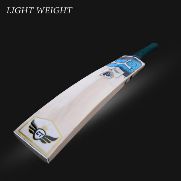 Kashmir Willow Cricket Bat