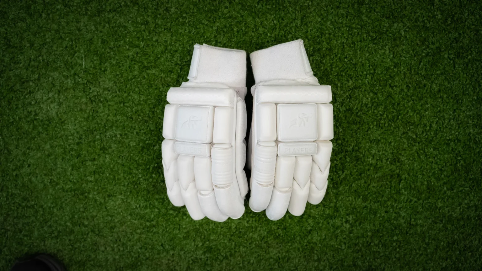 Cricket Gloves