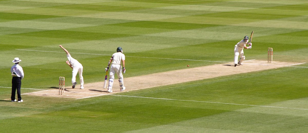 Hard Tennis Cricket Bat