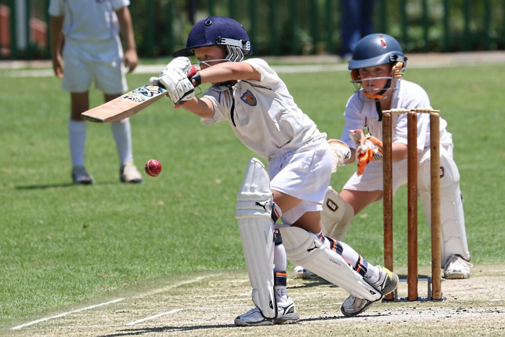 English Willow Cricket Bat