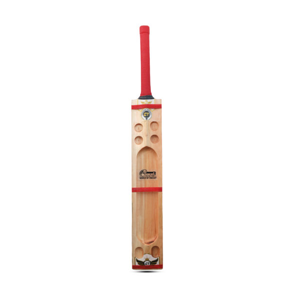 Cricket bat